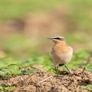 DSC_5416.jpg