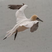 15482381305-1.jpg