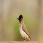 dsc_0365-2.jpg