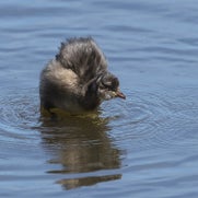 15071950522-1.jpg