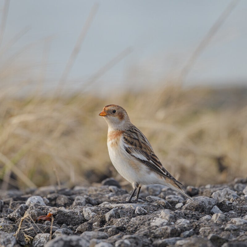 dsc_7494.jpg