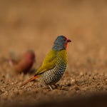 dsc_0290-3.jpg