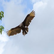 dsc_4303-1.jpg