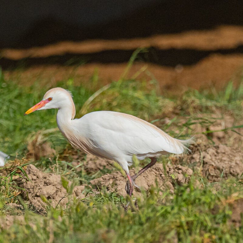 DSC_4031.jpg