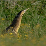 DSC_3748.jpg