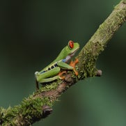 dsc_7281.jpg