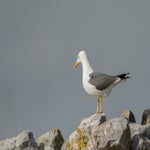 dsc_8627.jpg