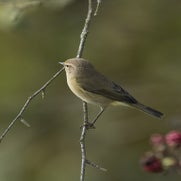 15071955021-1.jpg