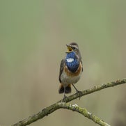 14945999573-1.jpg