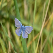 dsc_6242-2.jpg