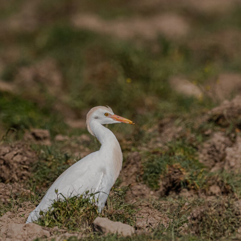 DSC_4044.jpg