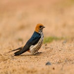dsc_6716-2.jpg