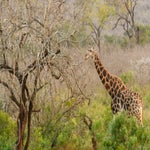 dsc_9646-2.jpg