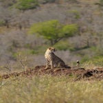 dsc_7104.jpg