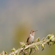 dsc_1809.jpg