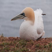 15482381303-1.jpg