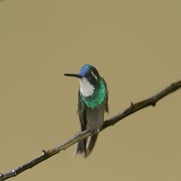 dsc_9626.jpg