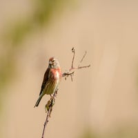dsc_1758.jpg