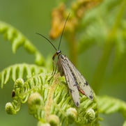 15074614413-1.jpg