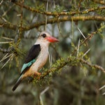 dsc_7702-1.jpg