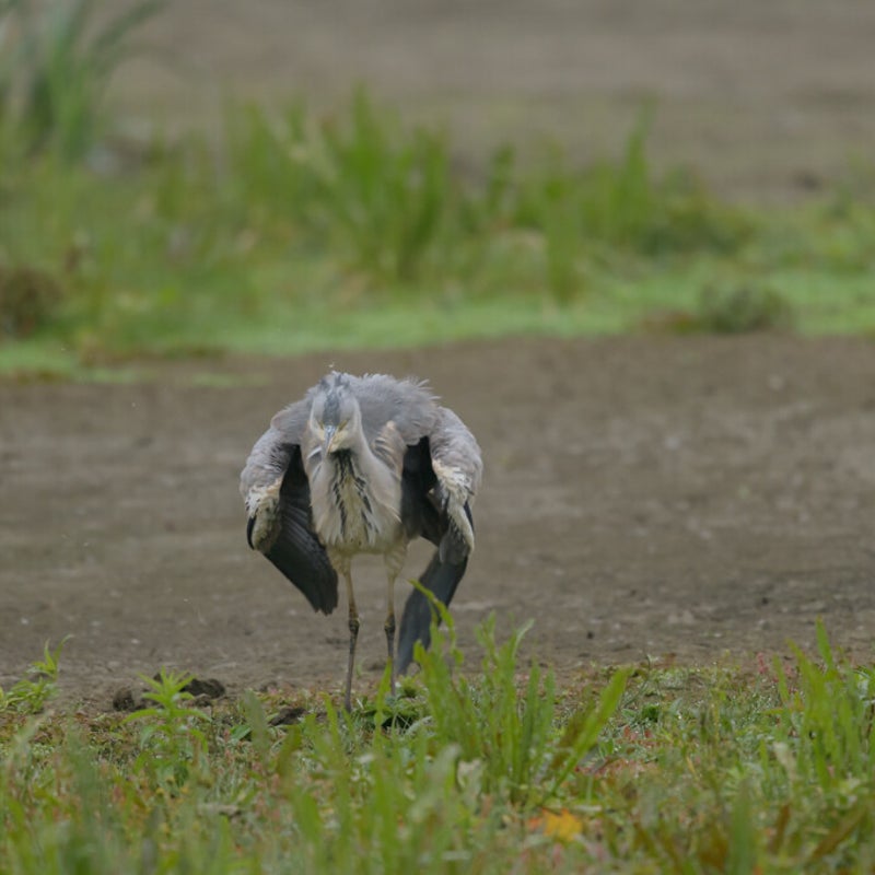 DSC_4979.jpg