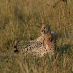 dsc_7443-2.jpg