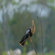 dsc_3562.jpg