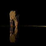 dsc_7473-3.jpg