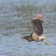 1508620183-1.jpg