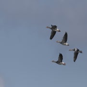 15071950521-1.jpg