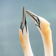 154823813033-1.jpg