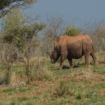dsc_0535-2.jpg