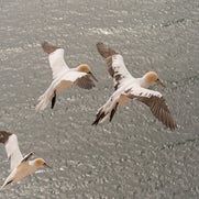 15482381307-1.jpg