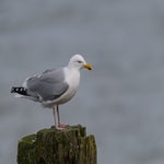 dsc_8430-1.jpg