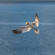 15596661503-1.jpg