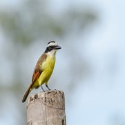 dsc_3449.jpg