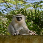dsc_7335.jpg