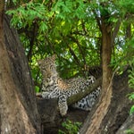 dsc_7752.jpg