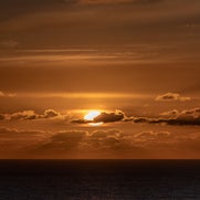 15596661504-1.jpg