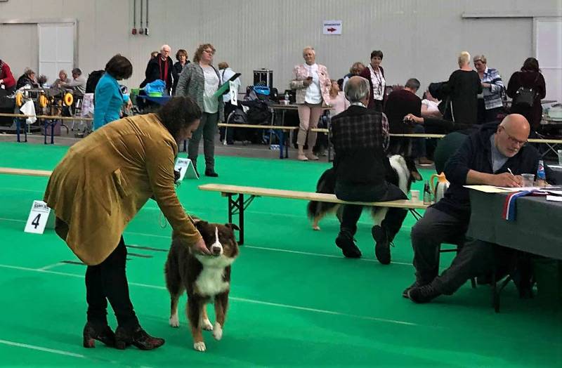 Bubblegum 1e Jeugdklasse