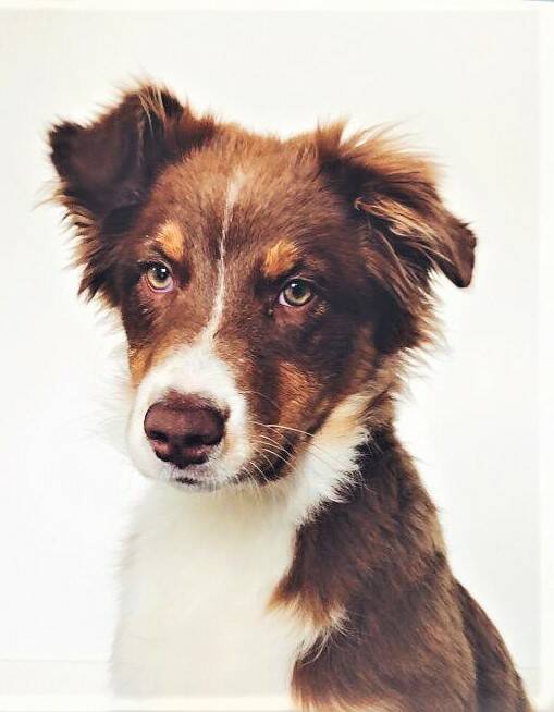 Phoebe 4 maanden oud