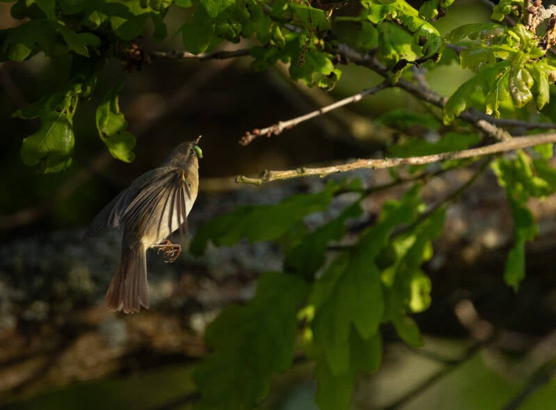 260501-mg-fotografie-2-2-standard-u0xwq0.jpg