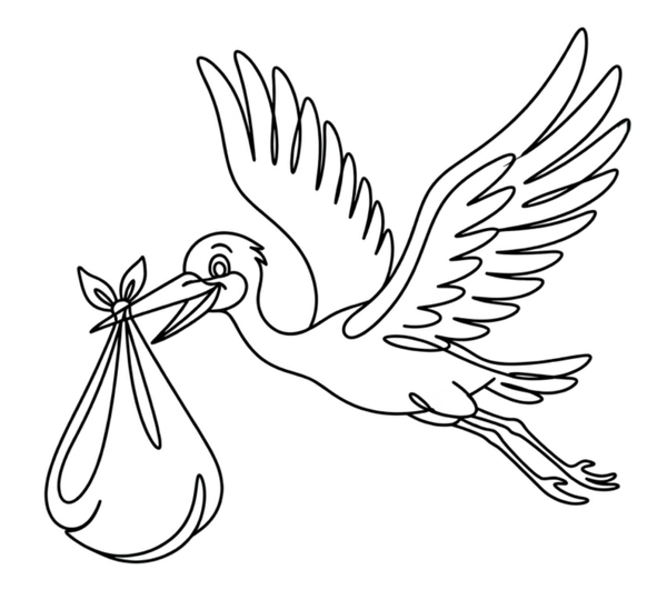 DELIVERY FEE - ADD ON