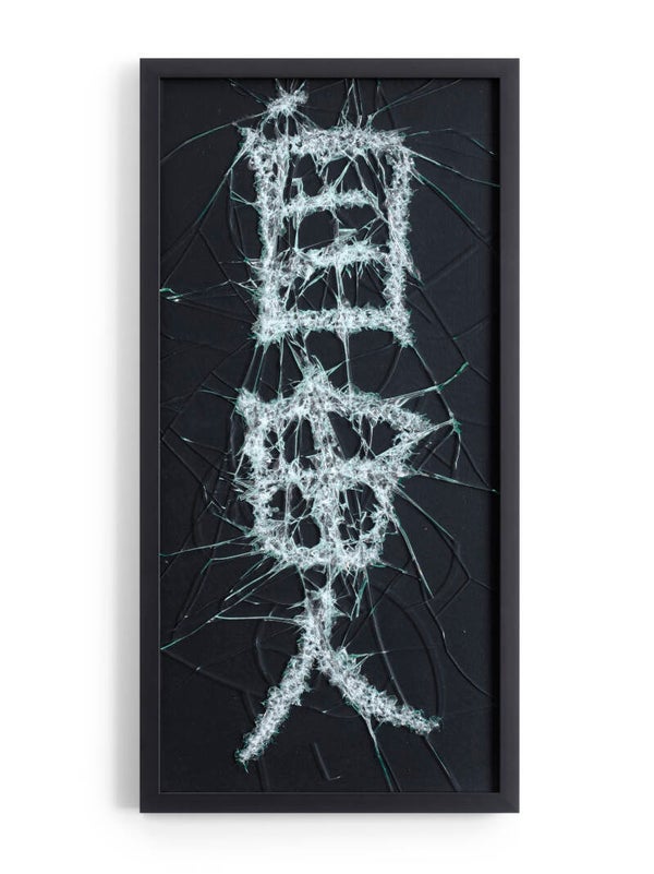 Japanse tekens - Wit / Zwart - RIV