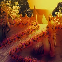 oasis_bg_set-2-1-standard.jpg