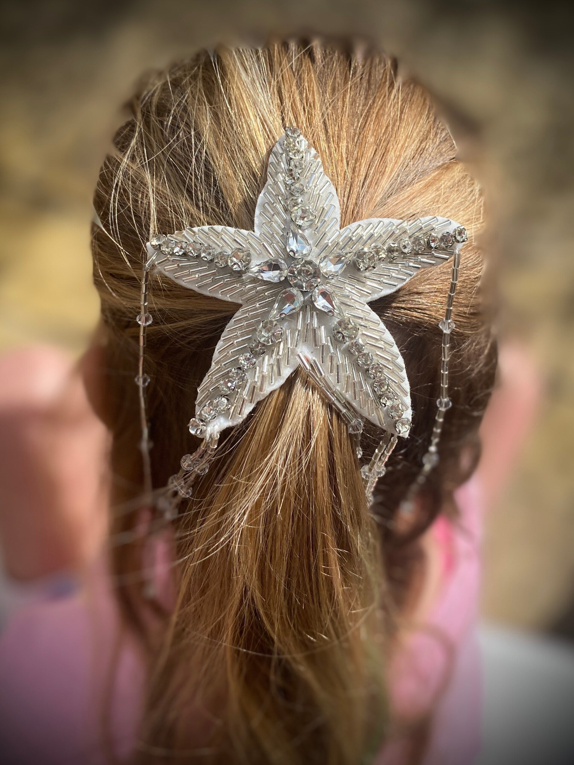 Silver star clip