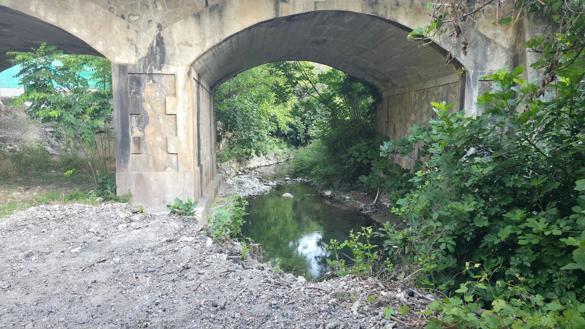 20260530_080457-standard.jpg