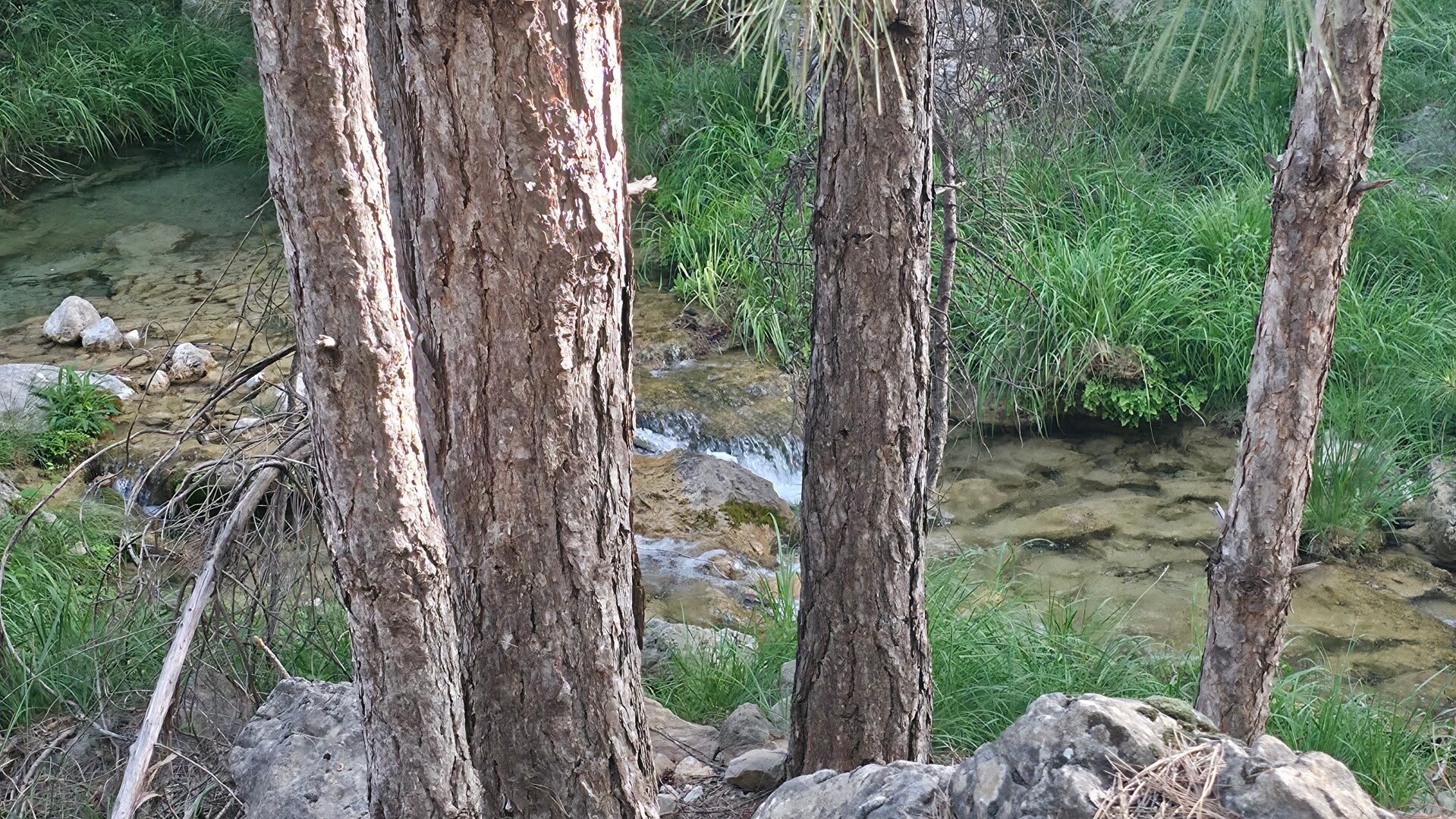 20260613_085547-standard.jpg