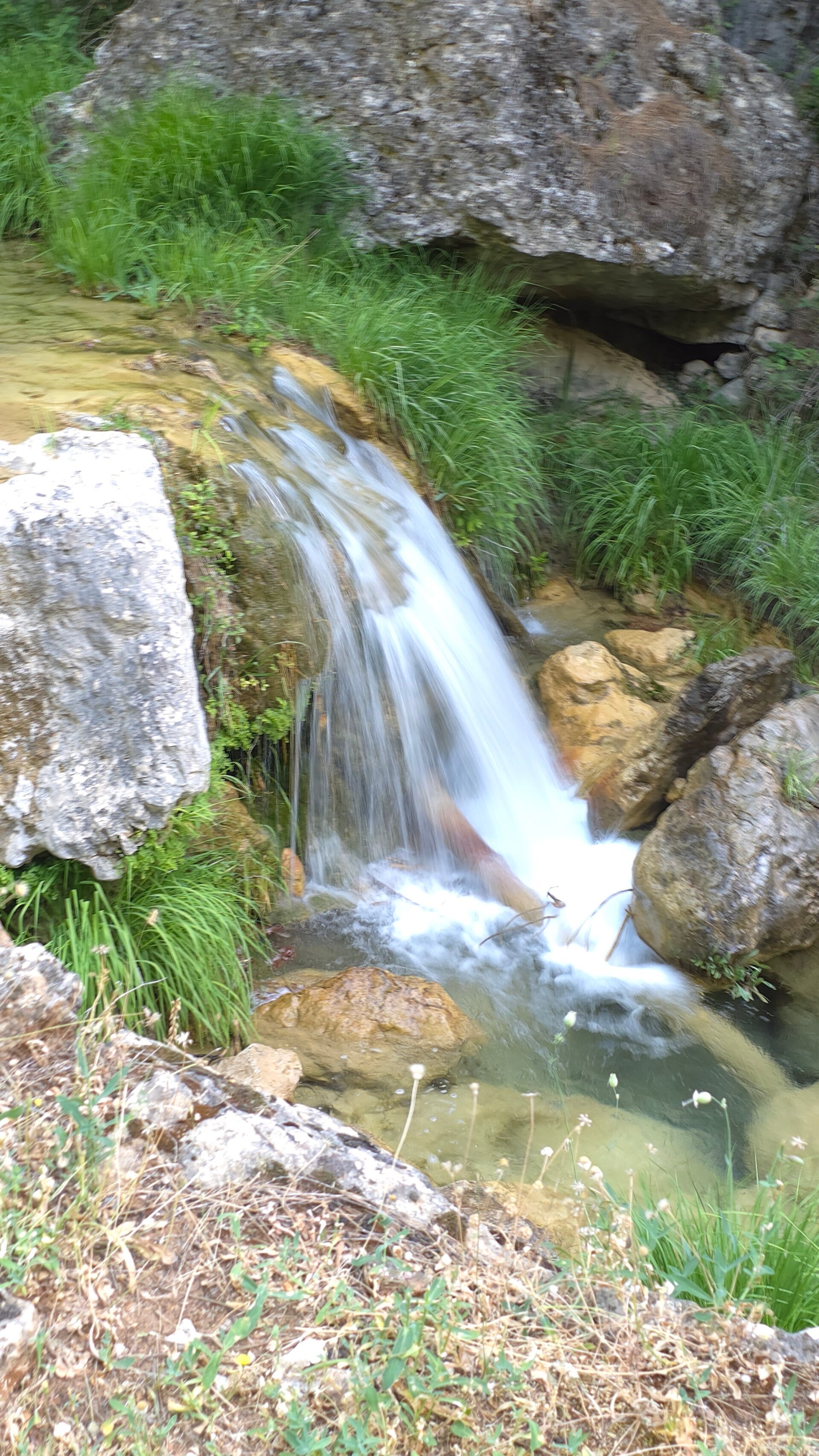 20260613_085810-standard.jpg