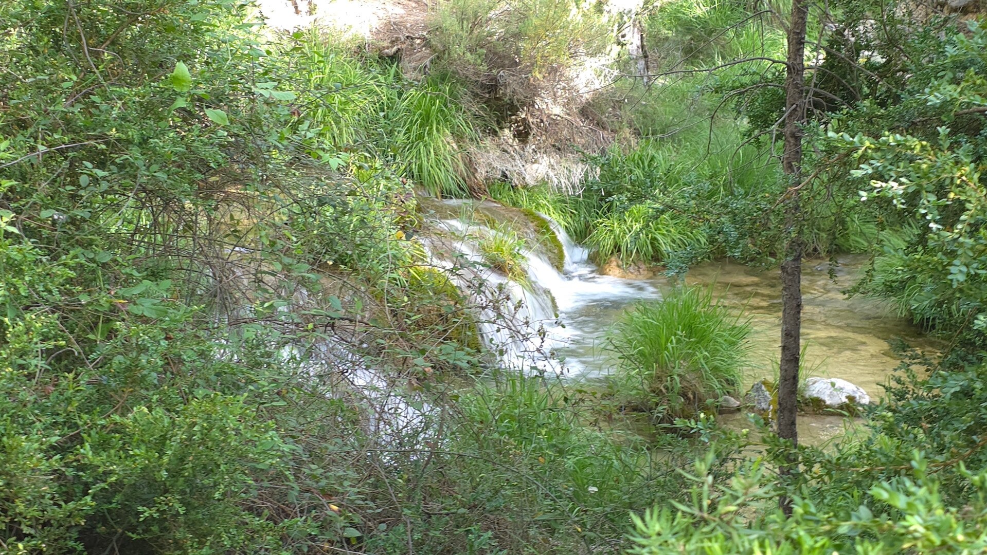 20260613_092456-standard.jpg
